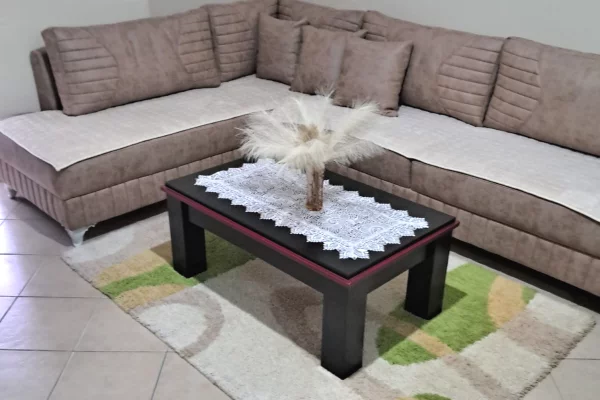 Shtepi me qera 1+1 ne Tirane - 40,000 Leke