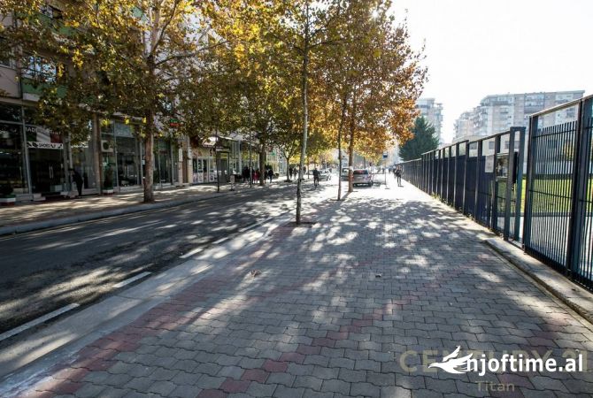 Ambient biznesi me qera 1+1 ne Tirane - 750 Euro