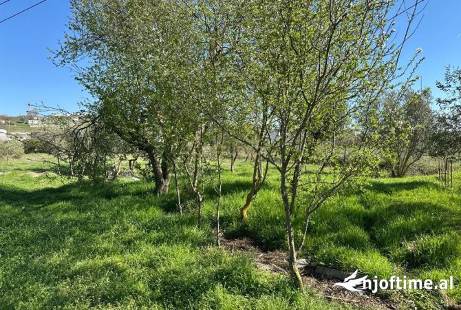 Land for Sale  in Tirana - 500,000 Euro
