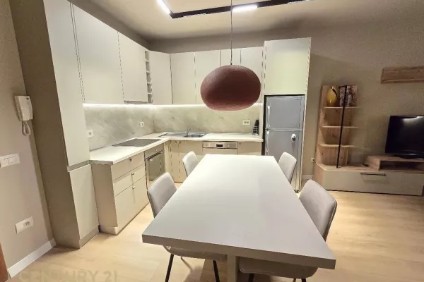 Shtepi me qera 1+1 ne Tirane - 750 Euro