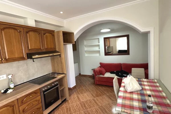 House for Rent 1+1 in Tirana - 450 Euro