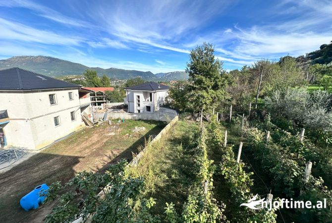 Shitet Vile 4 kate + Toke ne Mullet 