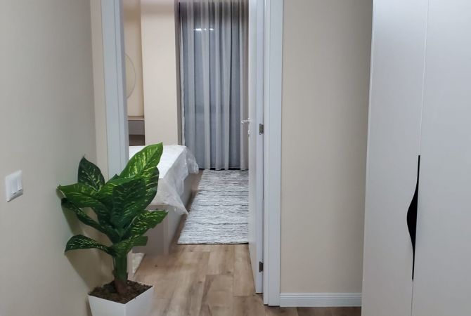 Shtepi me qera Apartament ne Tirane, 1+1, Mobilimi E mobiluar, Pagesa 1,000  Euro.