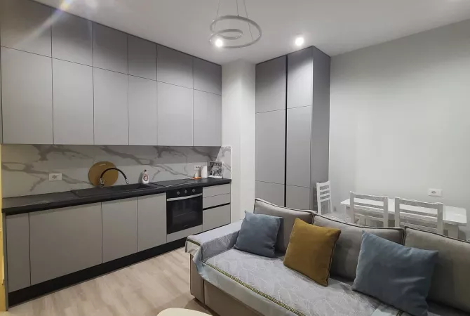 House for Rent 1+1 in Tirana - 800 Euro