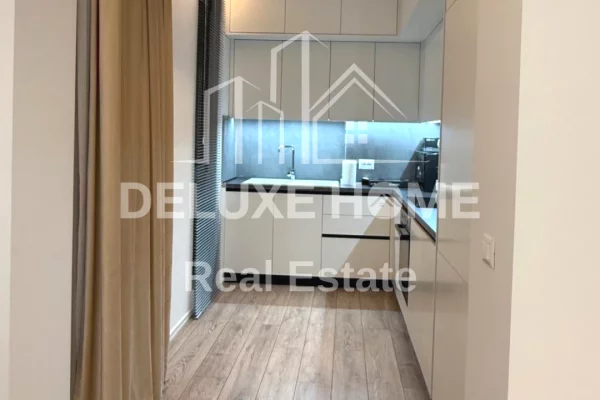 Shtepi me qera Apartament ne Tirane, 1+1, Mobilimi E mobiluar, Pagesa 580  Euro.