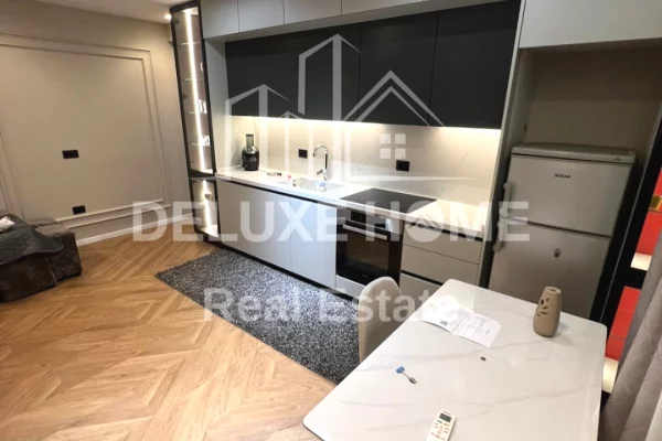 Apartment for rent in Tirana 1+1, Furnished