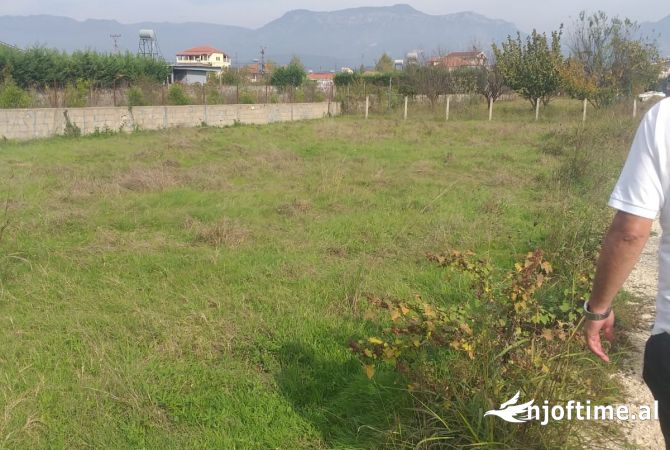 Truall ose Toke  ne Tirane - 65,000 Euro