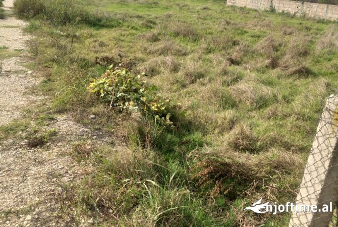 Truall ose Toke  ne Tirane - 65,000 Euro