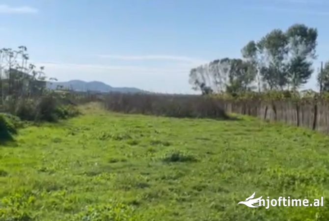 Terreno in vendita  a Kavaja - 52,000 Euro