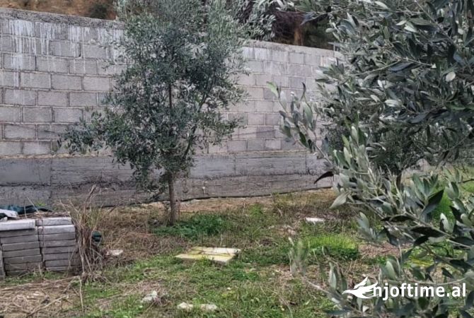 Truall ose Toke  ne Tirane - 30,000 Euro