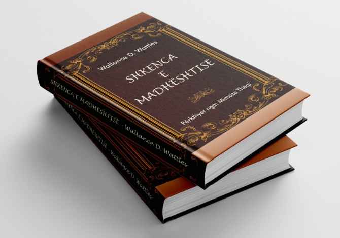 Books  in Lezha - 500 Leke