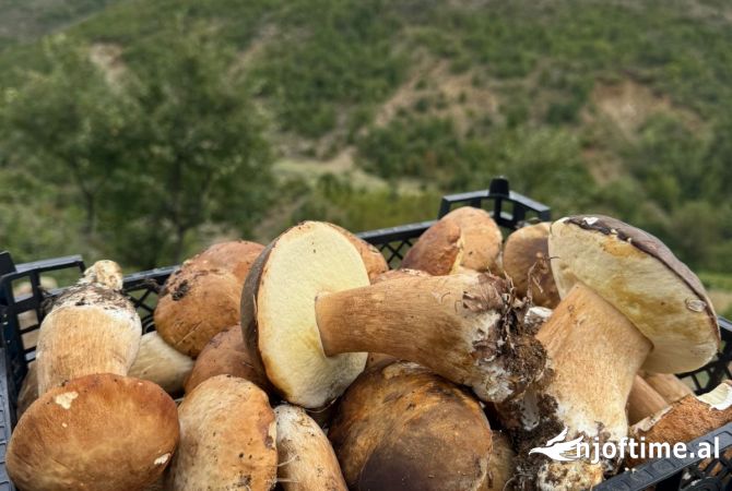 Different articles in Shkodra - 1,000 Leke
