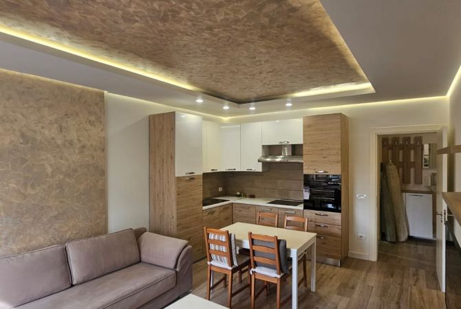 Shtepi me qera Apartament ne Tirane, 1+1, Mobilimi E mobiluar, Pagesa 520  Euro.