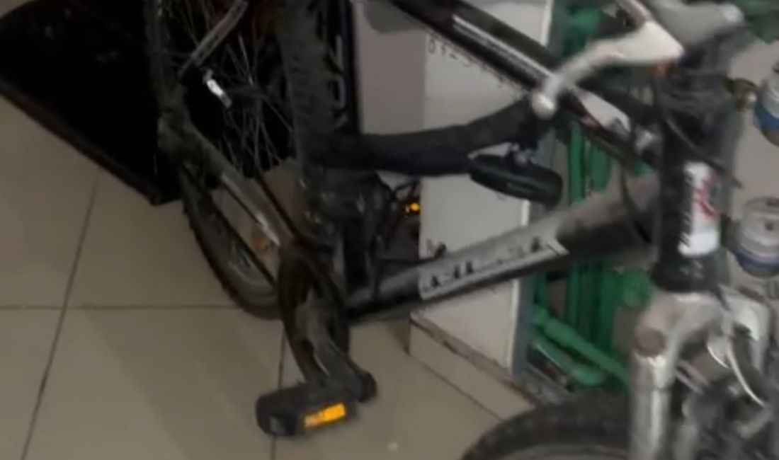 Foto 4
