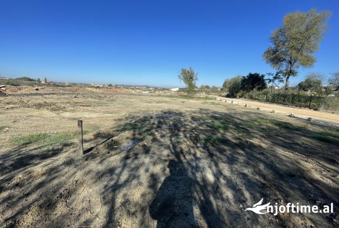 Truall ose Toke  ne Tirane - 60,000 Euro