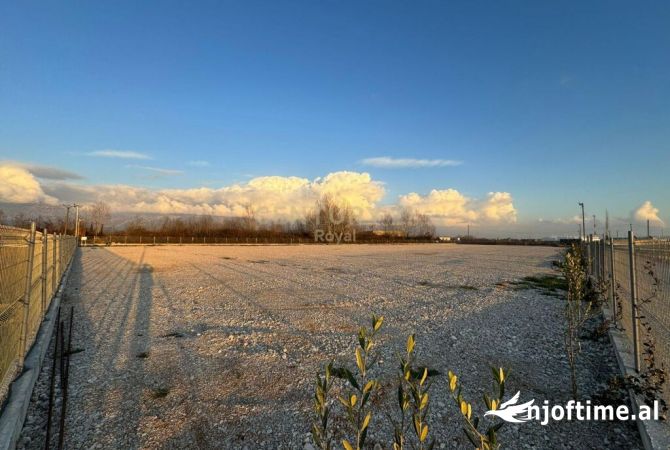 JEPET ME QIRA TOKE PRANE AEROPORTIT TE RINASIT
