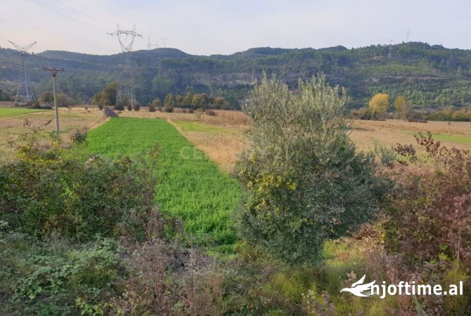 Terreno in vendita  a Tirana - 98,000 Euro
