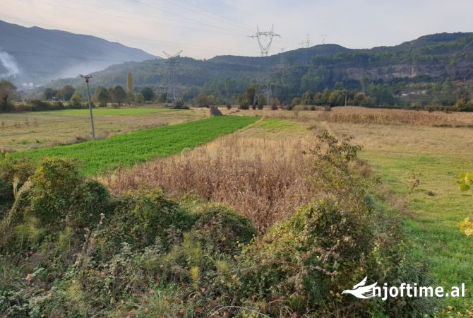 Terreno in vendita  a Tirana - 98,000 Euro