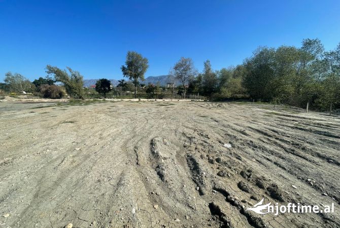 Truall ose Toke  ne Tirane - 60,000 Euro