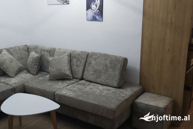 Shtepi me qera Apartament ne Tirane, 1+1, Mobilimi E mobiluar, Pagesa 500  Euro.