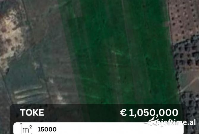 Truall ose Toke  ne Tirane - 1,050,000 Euro