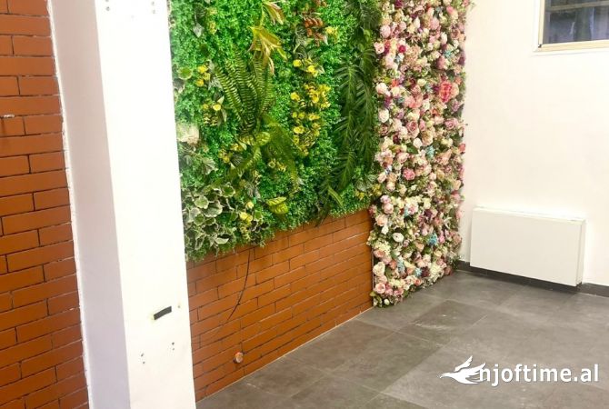 Ambient biznesi me qera 1+1 ne Tirane - 300 Euro