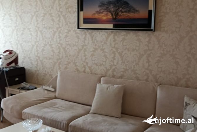 Shtepi ne shitje Apartament ne Tirane, 1+1, Mobilimi E mobiluar, Pagesa 159,971  Euro.