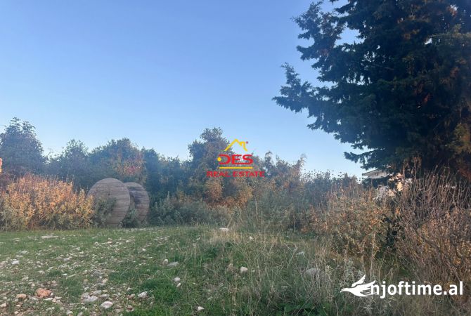 Truall ose Toke ne Sarande - 60,000 Euro
