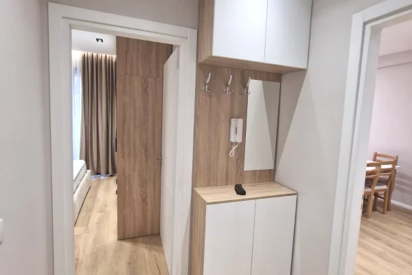 Appartamento in affitto a Tirana 1+1, Arredato