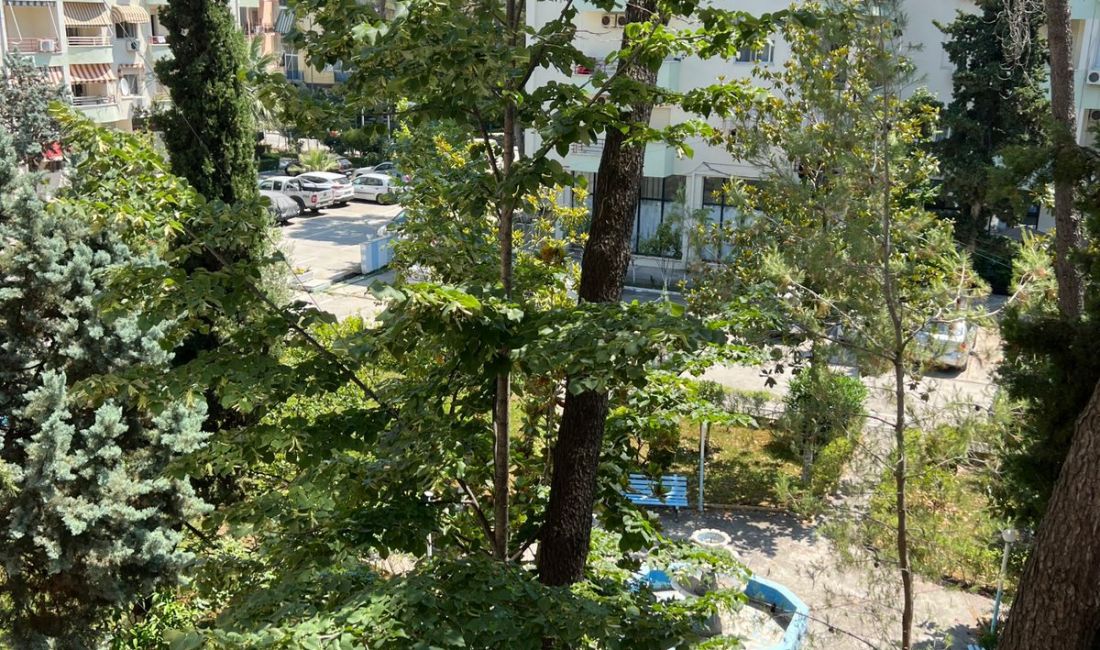 Foto 7