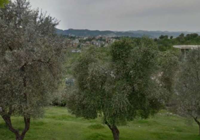 Truall ose Toke ne Tirane - 1,670,000 Euro