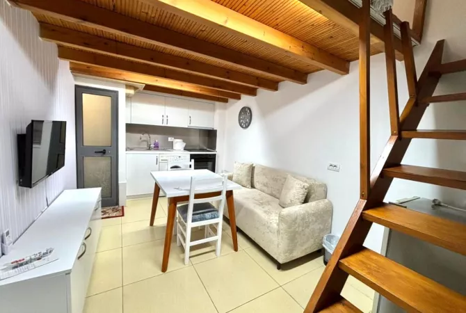 Shtepi ne shitje 1+1 ne Tirane - 45,500 Euro