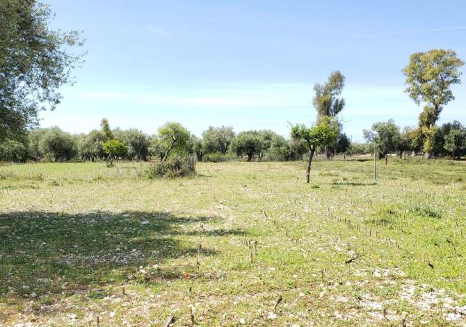 Truall ose Toke ne Himare - 115,000 Euro