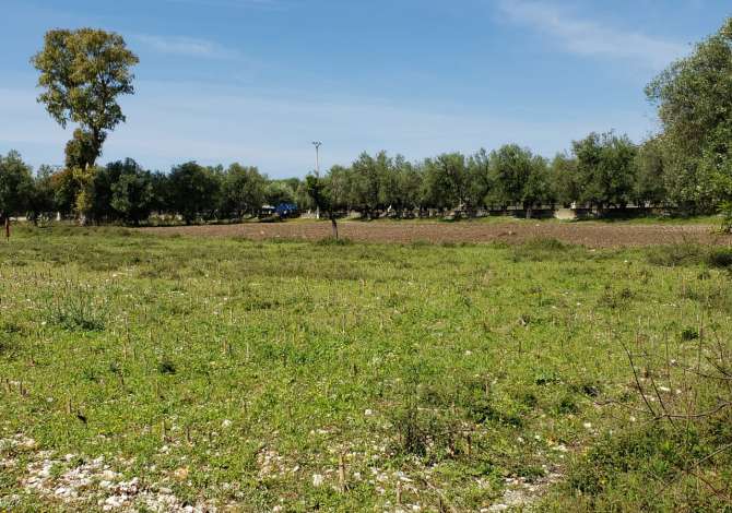 Truall ose Toke ne Himare - 115,000 Euro