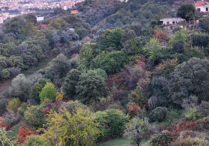 Terreno in vendita  a Tirana - 970,000 Euro