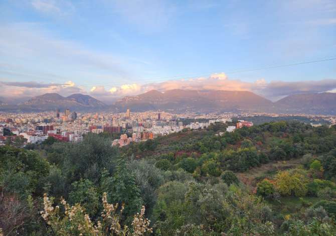 Shitet  Toke ( Kodra e Diellit 1, sa Kalon ) 5000m2 - Qetesi & Privatesi ++ Pamje Panormaike