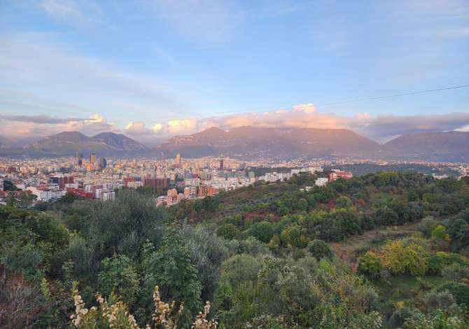 Shitet  Toke ( Kodra e Diellit 1, sa Kalon ) 5000m2 - Qetesi & Privatesi ++ Pamje Panormaike