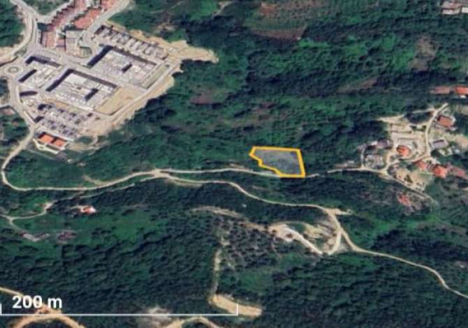 Shitet  Toke ( Kodra e Diellit 1, sa Kalon ) 5000m2 - Qetesi & Privatesi ++ Pamje Panormaike