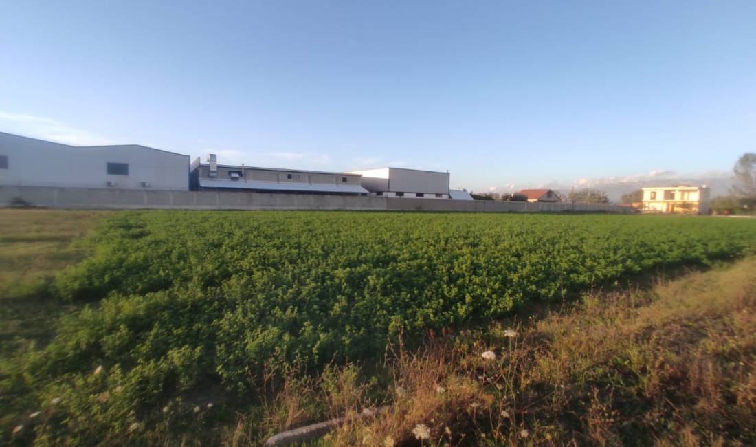 SHITET Toke (4000m2) Ne Berxulle, shume prane MEGATEK, Rr. Rinasit - me Doc te Rregullt