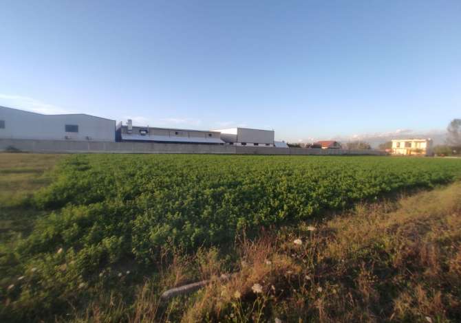 Truall ose Toke  ne Tirane - 400,000 Euro