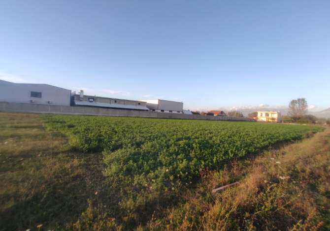 Truall ose Toke  ne Tirane - 400,000 Euro