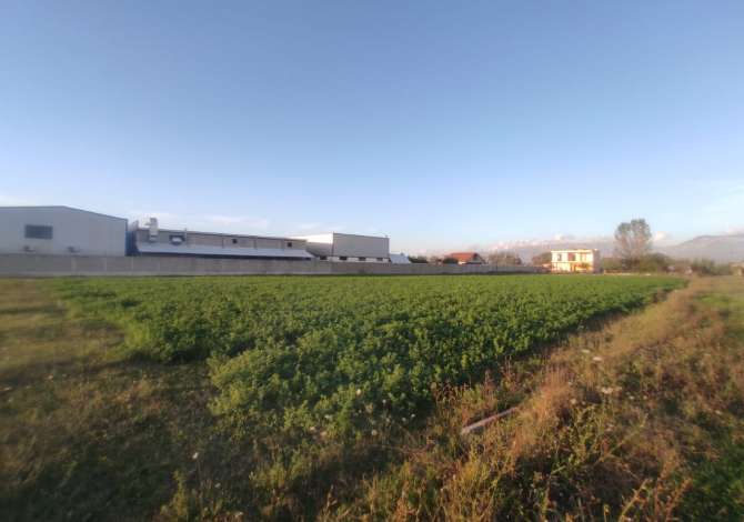 Truall ose Toke  ne Tirane - 400,000 Euro