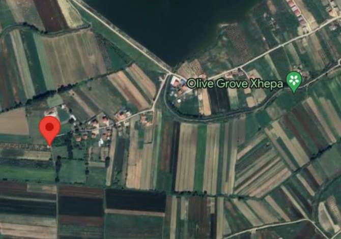 OKAZION  Toke 7,800m2 ( Maminas - prane Autos. Tirane Durres ) me Hipoteke -- Sis, Ujitje & 