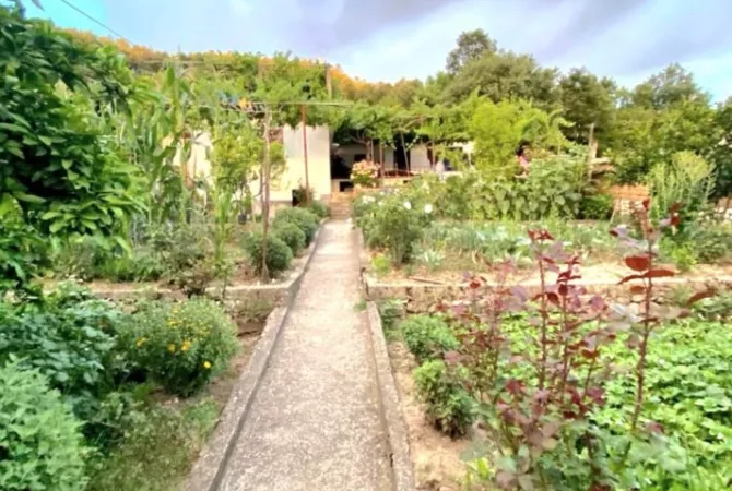 Shtepi ne shitje Shtepi Private ne Tirane, 3+1, Mobilimi Bosh, pa mobiluar, Pagesa 115,000  Euro.