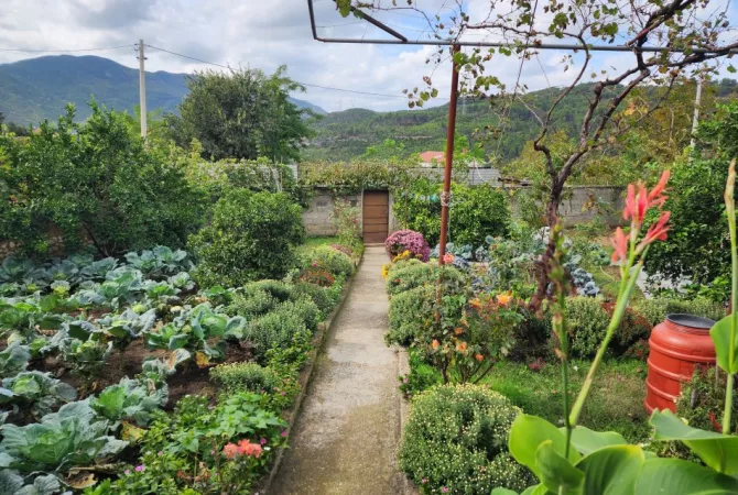 Shtepi ne shitje 3+1 ne Tirane - 115,000 Euro