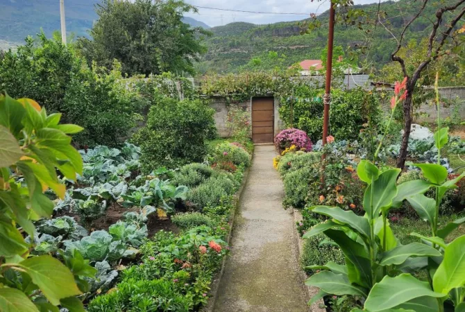 Shtepi ne shitje 3+1 ne Tirane - 115,000 Euro