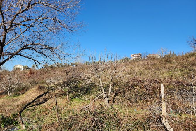 Truall ose Toke  ne Tirane - 612,000 Euro