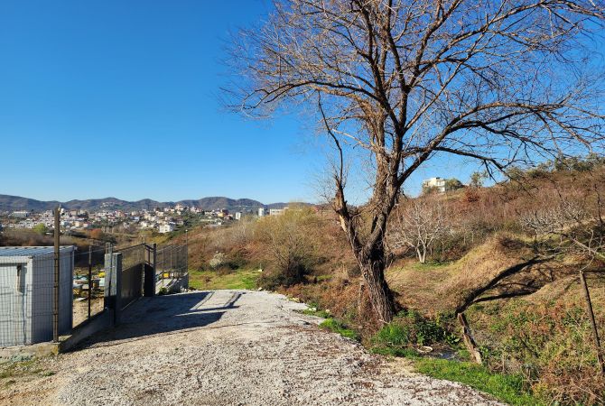 Truall ose Toke  ne Tirane - 612,000 Euro