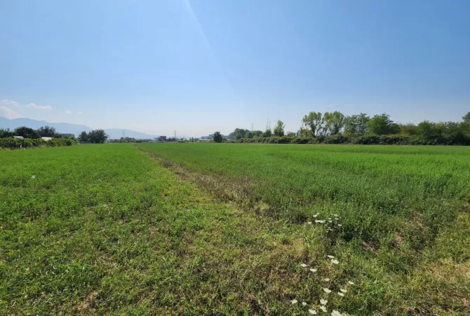 🟤 Shitet Toke 3500m2 Pas Megatek 🏬 ( Autostrada - Tirane - Durres 📍) 169K - Vendodhje Strategjike