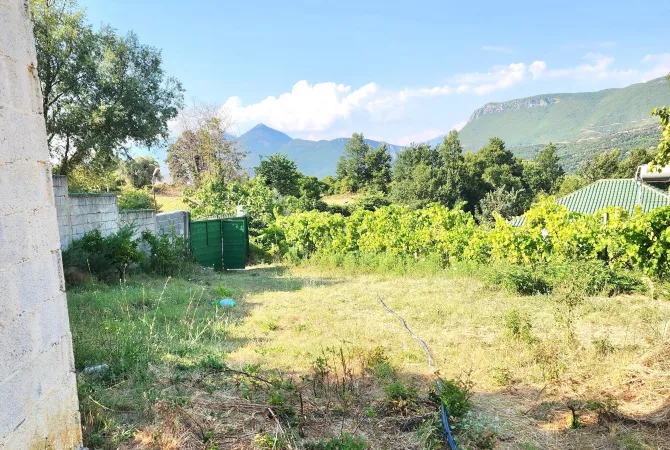 Truall ose Toke  ne Tirane - 210,000 Euro